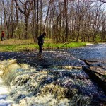 Gabby wading